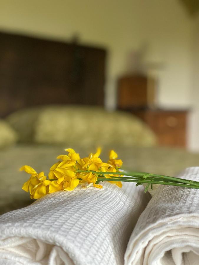 Cascina Boschetto Bed & Breakfast Saliceto Екстериор снимка