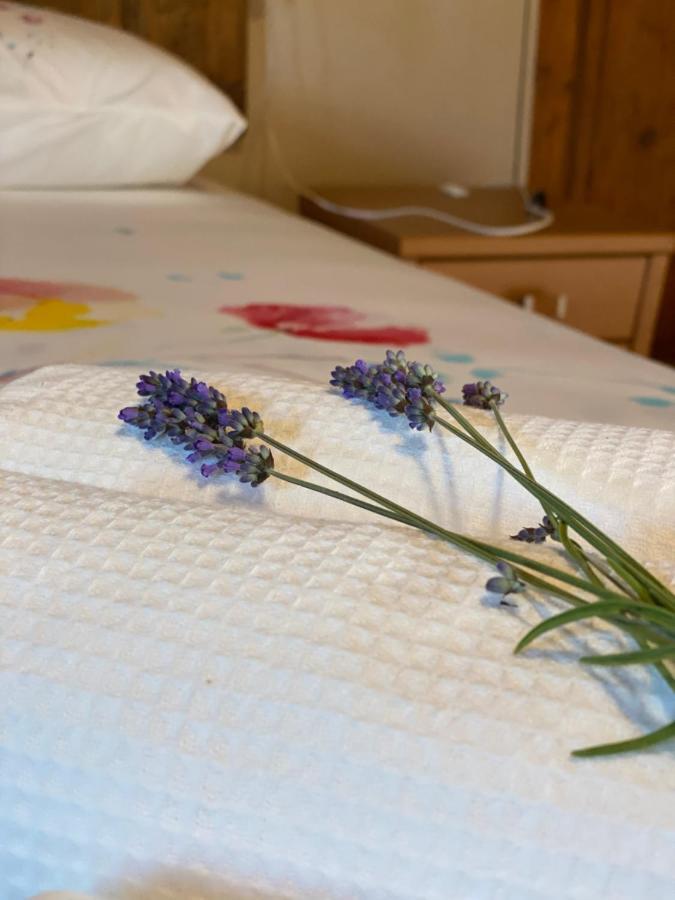 Cascina Boschetto Bed & Breakfast Saliceto Екстериор снимка
