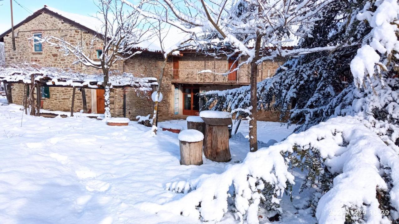 Cascina Boschetto Bed & Breakfast Saliceto Екстериор снимка