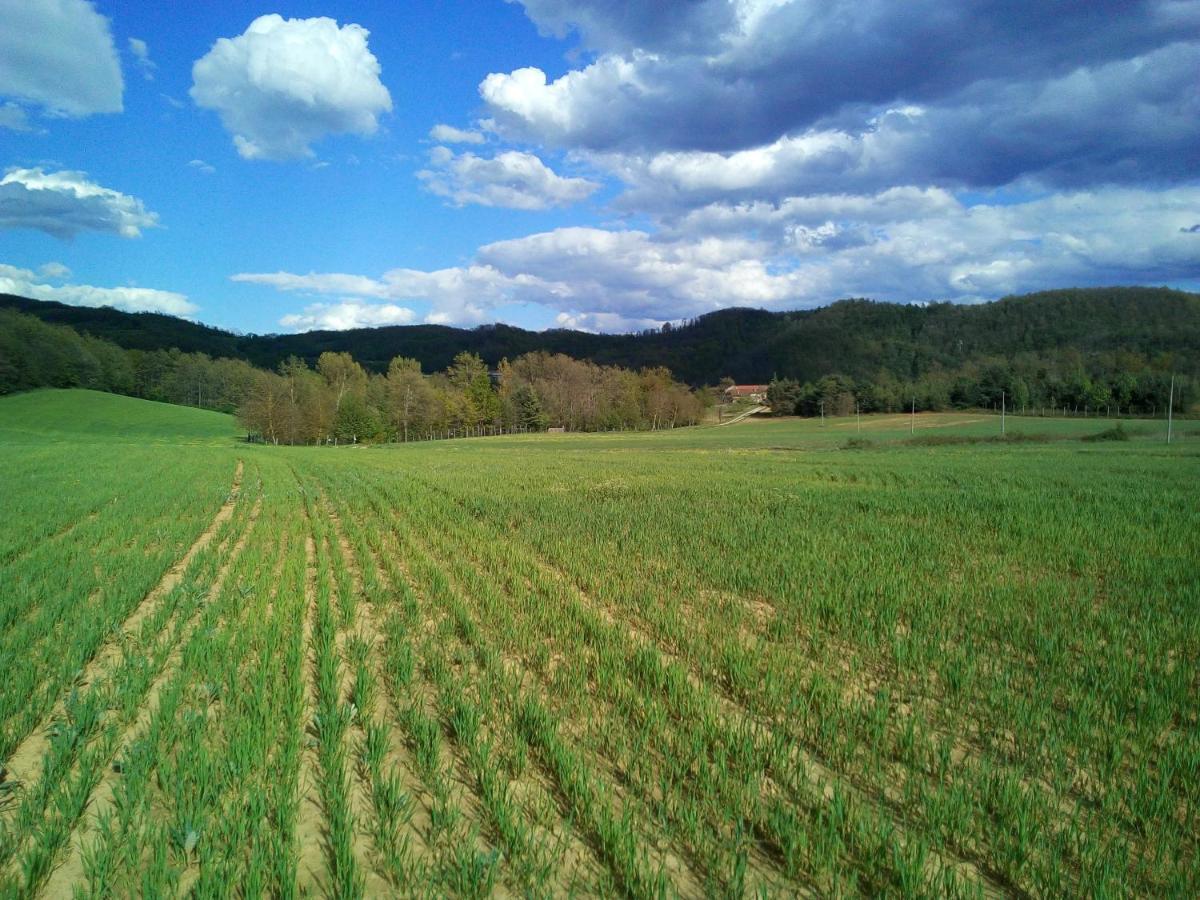 Cascina Boschetto Bed & Breakfast Saliceto Екстериор снимка