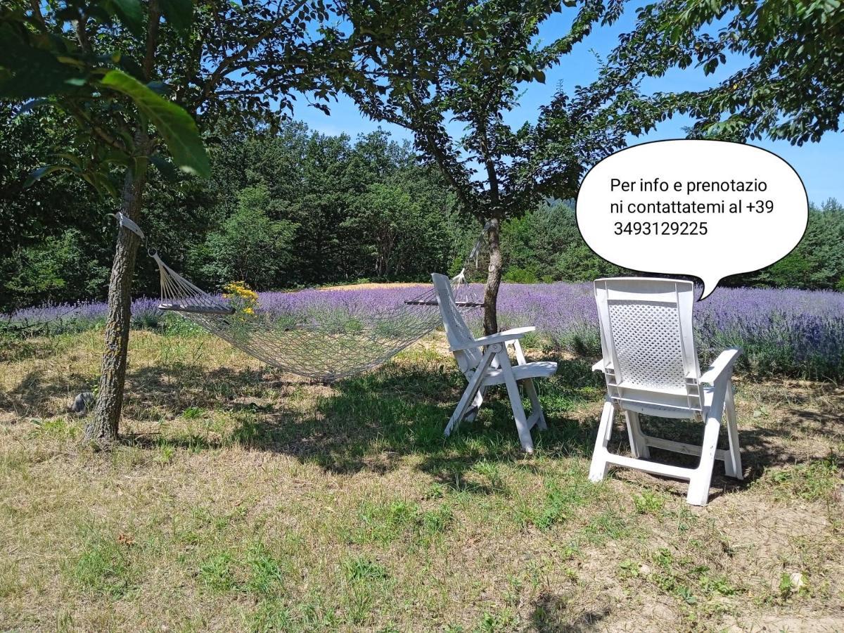Cascina Boschetto Bed & Breakfast Saliceto Екстериор снимка
